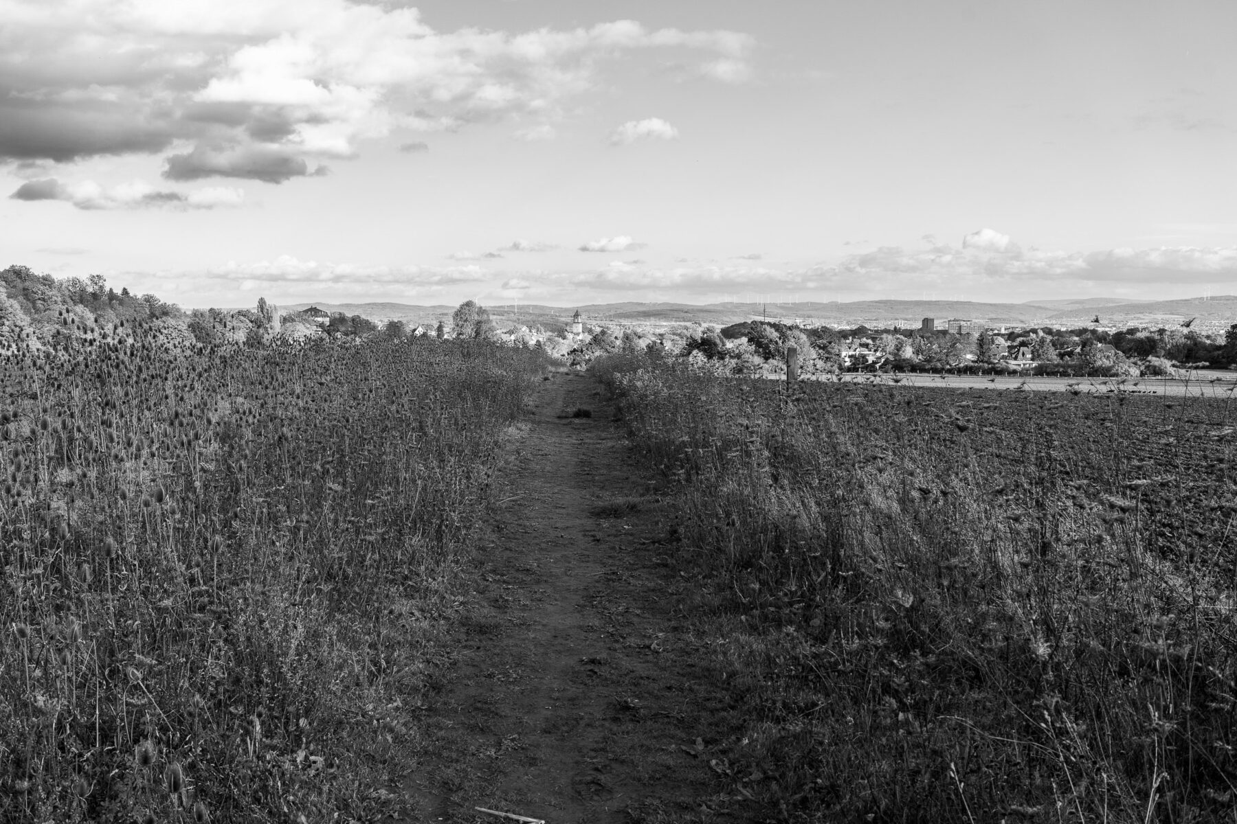 Landschaften