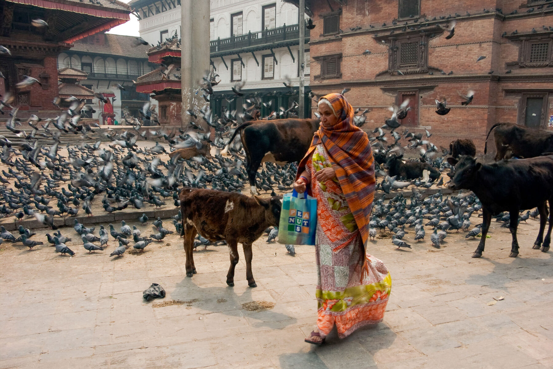streetlife in asien